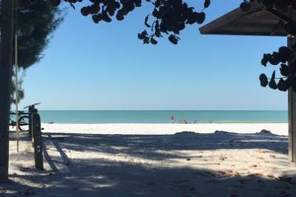 Beachfront shore in Sarasota, FL