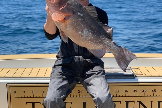 a man holding a fish in the water
