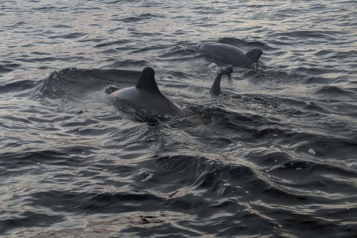 a man swimming in a body of water