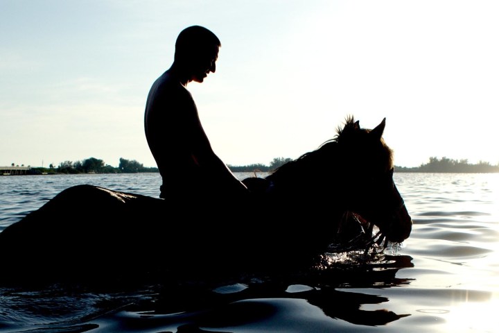 a person riding a horse in a body of water