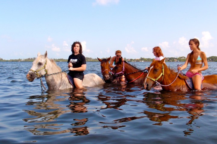 a group of people swimming in a body of water