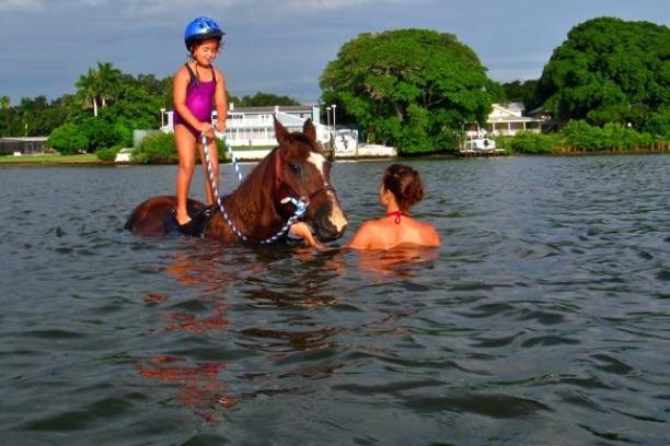 a dog riding on a boat in a body of water