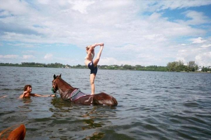 a dog swimming in a body of water