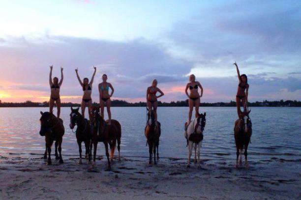 a group of people riding on the back of a horse on a beach