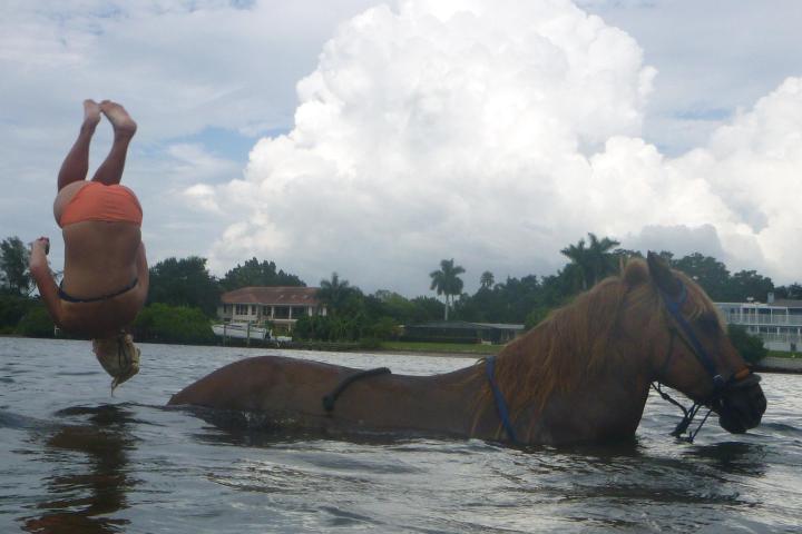 a brown horse standing next to a river