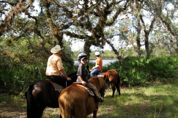 a group of people riding on the back of a horse