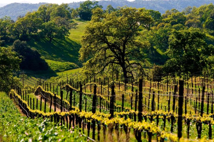 a river running through a fence