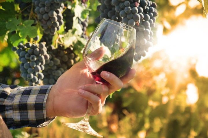 a close up of a person holding a wine glass