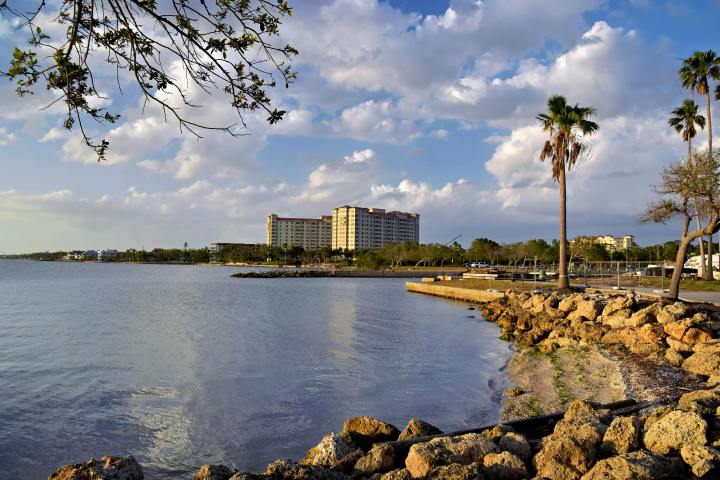 Coastal view with rocky shore, palm trees, and distant buildings under a partly cloudy sky.